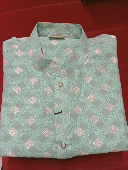 G0006J KURTA PAJAMA light green Colour