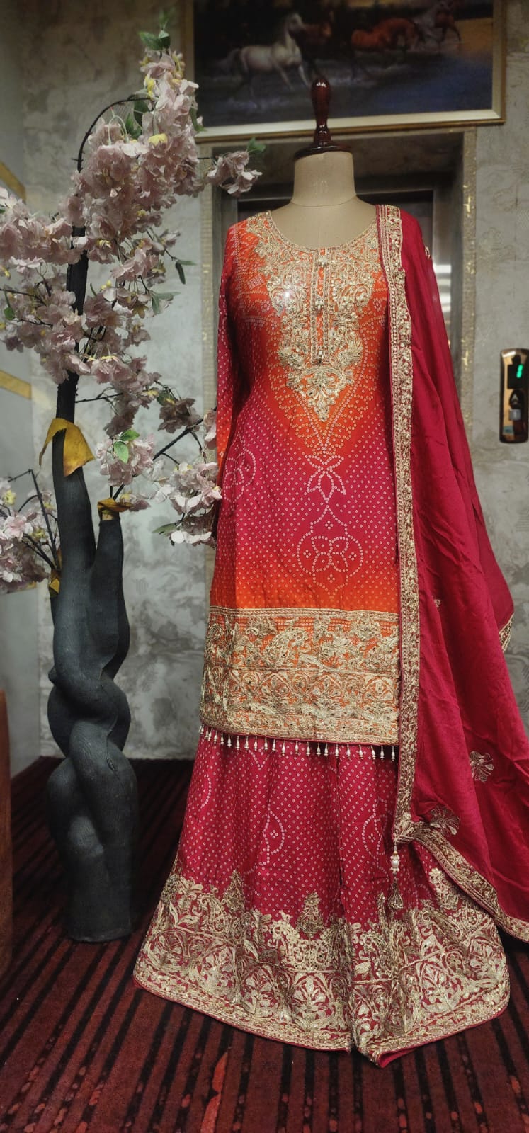 Sharara suit (G01E7)